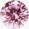 Rosa +R$15,00